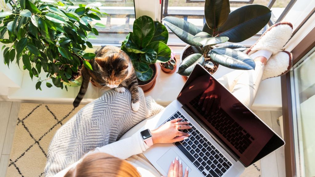 làm freelancer kết nối khách hàng quốc tế với Skijan